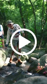 BIB:  <button type="button" onclick="openModal(28053093)" class="btn btn-primary btn-sm float-right" data-toggle="modal" data-target=".modal-high-quality">
                <i class="fa fa-download"></i> Download
                </button>